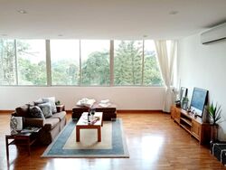 Nassim Regency (D10), Condominium #588239951